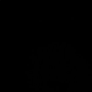 Juicy Couture Pink and Black Tote Bag